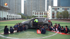 全国中小学生安全教育日：知危险 会避险