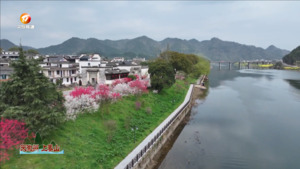 繁花似锦开 春光美如画