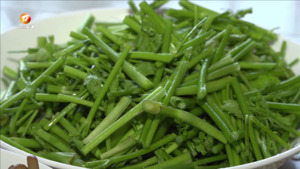 溪涧野水芹 尝鲜正当时