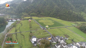 休宁： 打造“春光”经济  激发乡村旅游新活力