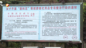 鲜花寄哀思 让清明更绿色平安