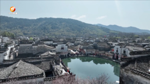 清明踏青出游 各景区迎来旅游小高峰