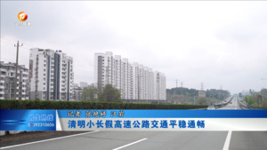 清明小长假高速平稳通畅