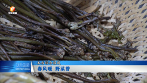 春风暖 野菜香