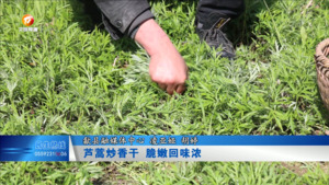 芦蒿炒香干 脆嫩回味浓