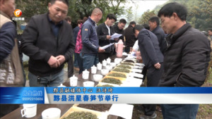黟县洪星春笋节举行