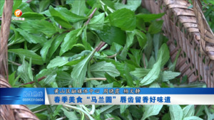 春季美食“马兰圆”唇齿留香好味道