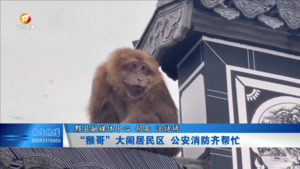“猴哥”大闹居民区  公安消防齐帮忙