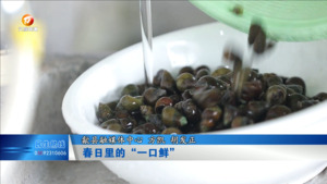 春日里的“一口鲜”