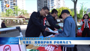 屯溪区：完善保护体系 护佑候鸟迁飞