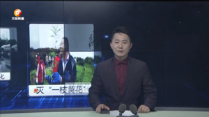 民生热线2024年4月20日