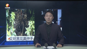 民生热线2024年5月7日