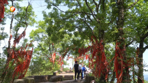 天开神秀齐云山 初夏风景美如画