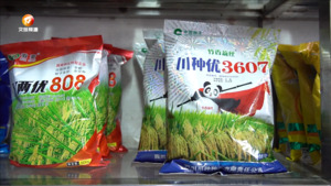 我市开展种子市场专项检查  守护粮食安全