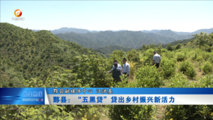 黟县：“五黑贷”贷出乡村振兴新活力