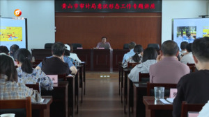 市审计局举办意识形态工作专题讲座