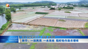 休宁：一田两用 一水双收 稻虾轮作助农增收