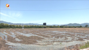 黟县：智慧灌溉助力高标准农田增收