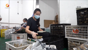 鳜鱼鲜肉粽受青睐