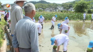 蜀源：研学旅游激发乡村新活力