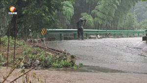 村民冒雨清理杂物 保护桥梁安全