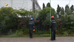 祁门：冒雨抢修保供电