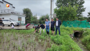 黟县：农技专家深入田间地头指导灾后自救