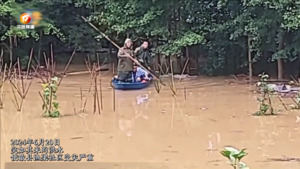 姚氏兄弟洪水中连救8人