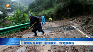 徽州区呈阳村: 防汛一线党旗飘扬