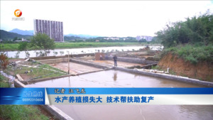 水产养殖损失大 技术帮扶助复产