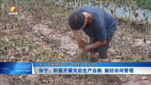 休宁：积极开展灾后生产自救 做好田间管理