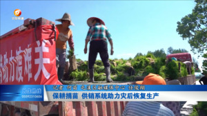 保耕捐苗 供销系统助力灾后恢复生产