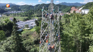 祁门：战高温忙迁改 助力高速建设