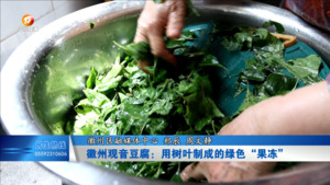 观音豆腐： 用树叶制成的绿色“果冻”