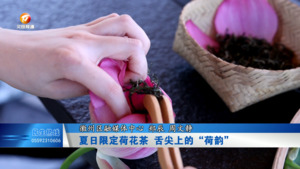 夏日限定荷花茶 舌尖上的“荷韵”