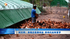 刘文祥：身残志坚勇创业 养鸡托起致富梦
