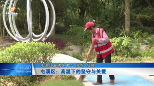 屯溪区：高温下的坚守与关爱