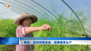 黟县：应对持续高温  保障蔬菜生产