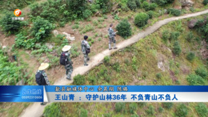 王山青 ：守护山林36年 不负青山不负人