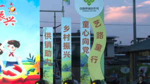 民生热线2024年8月5日
