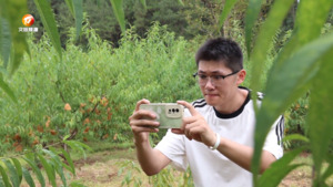 吴泽丕：“蜜桃”铺就致富路