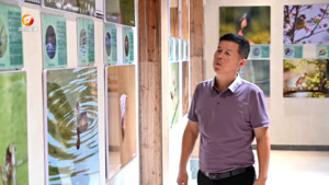 刘军权：钟情鸟类摄影 展现祁门好生态