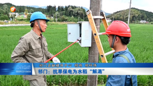 祁门：抗旱保电为水稻“解渴”