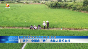 休宁：全面应“烤”  农技人员忙支招