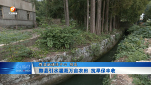 黟县引水灌溉万亩农田  抗旱保丰收