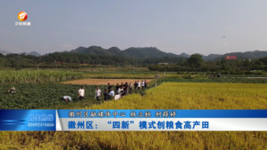 徽州区：“四新”模式创粮食高产田