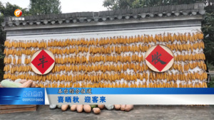 喜晒秋 迎客来
