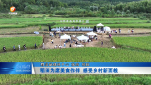 稻田为席美食作伴 感受乡村新面貌