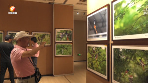 徽州生态摄影公益展展出