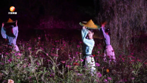 夜游灵山  精彩无限